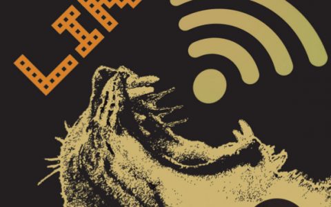 LINCE elabora e distribui gratuitamente minimanual para uso criativo da Internet