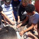 Experiências Fantásticas: Cianotipia