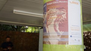 24052015 Mostra de Filmes Recicláveis -Pq Chico Mendes (23)